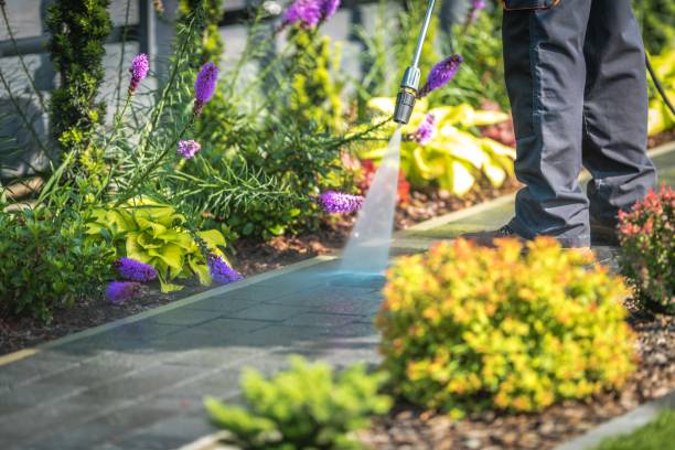Best Sidewalk and Walkway Cleaning  in Hodgkins, IL